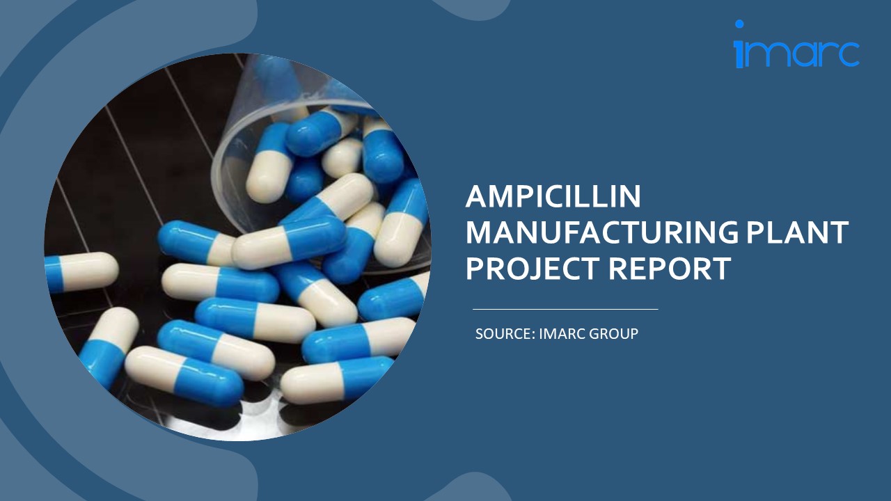 Setting Up a Successful Ampicillin Manufacturing Unit: DPR