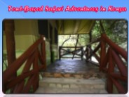 Tent-Based Safari Adventures in Kenya