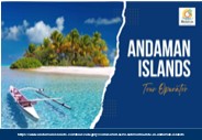 Semi Submarine Ride in Andaman Islands