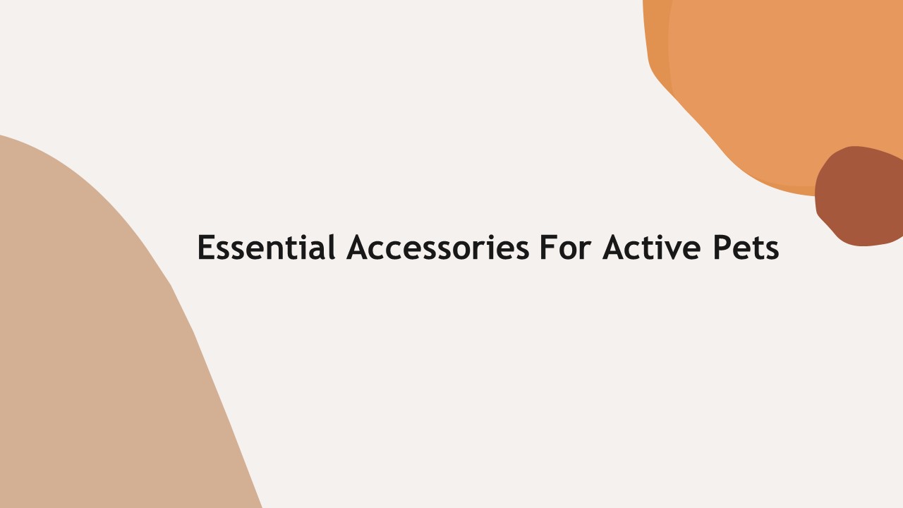 Essential Accessories for Active Pets in the USA | Pet ID