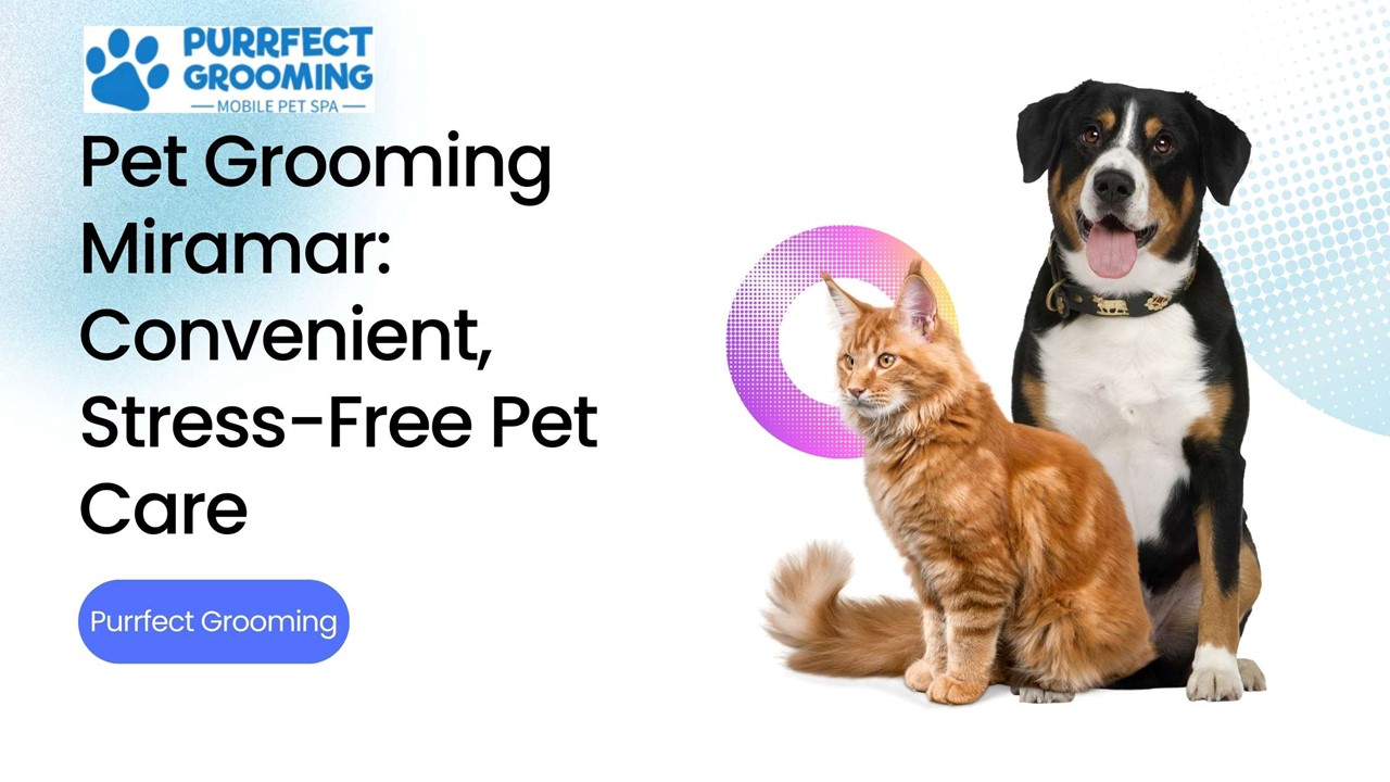 Mobile Pet Grooming Miramar: Convenient, Stress-Free Pet Care