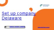 Set up company Delaware