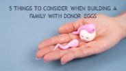 What is Egg Donation Process?