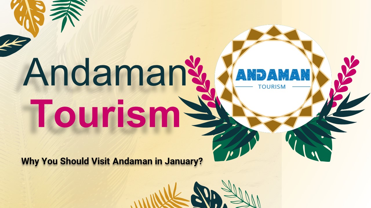 Discover Andaman's January Magic: Your Ultimate Guide!