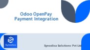 Odoo ERP Integration Services