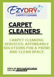 Carpet Cleaners