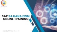 SAP EWM Online Training Course Content