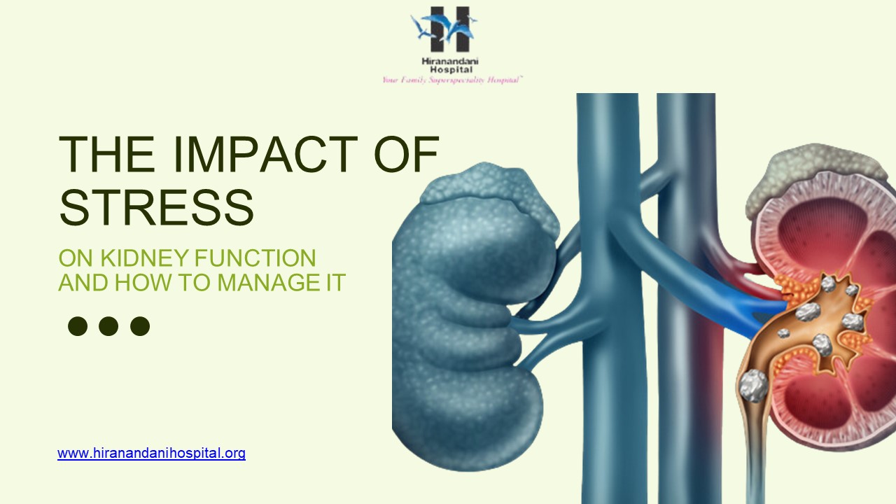 PPT The Impact of Stress on Kidney Function and How to Manage It
