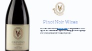 Introduction to Pinot Noir Wines