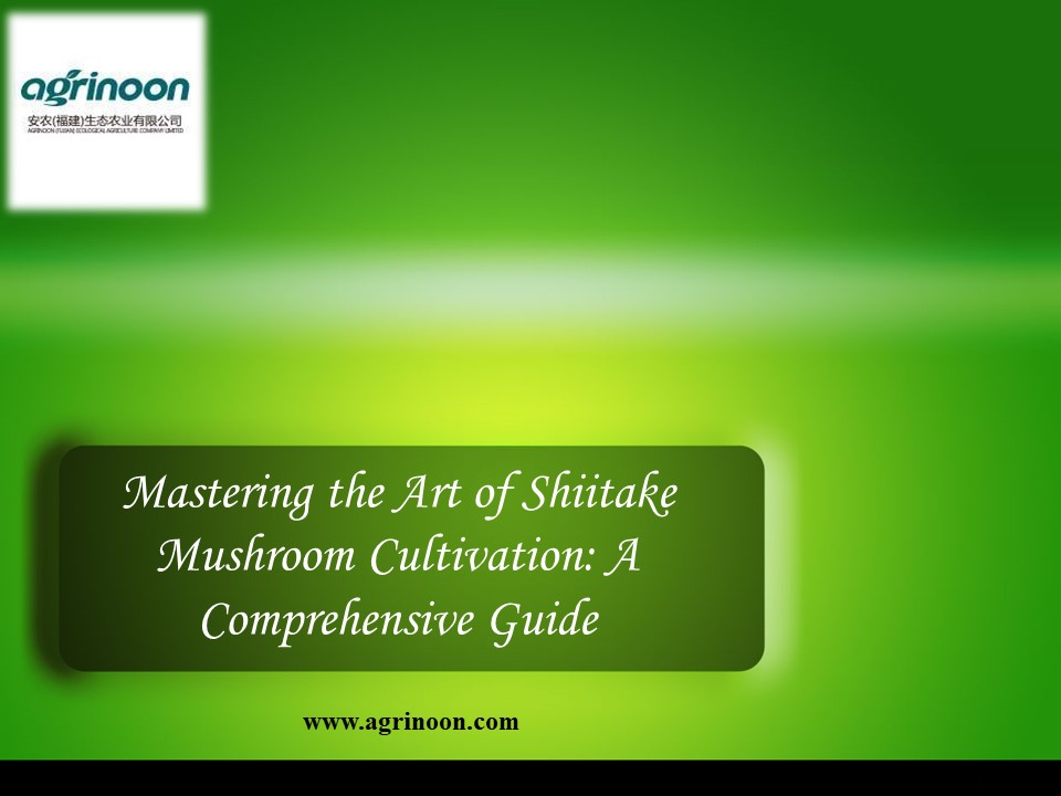 Mastering the Art of Shiitake Mushroom Cultivation: A Comprehensive Guide
