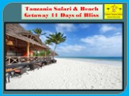 Tanzania Safari & Beach Getaway 11 Days of Bliss