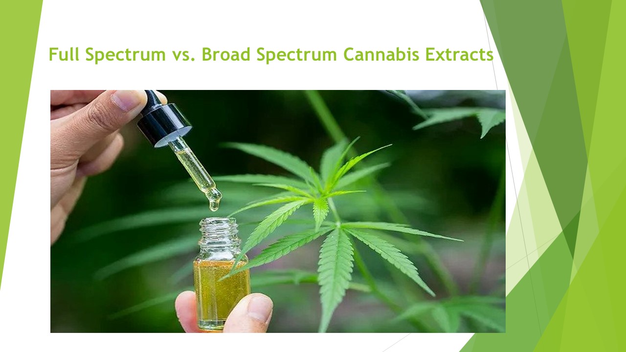 Full Spectrum vs. Broad Spectrum Cannabis Extracts
