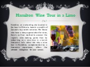 Hamilton Wine Tour in a Limo