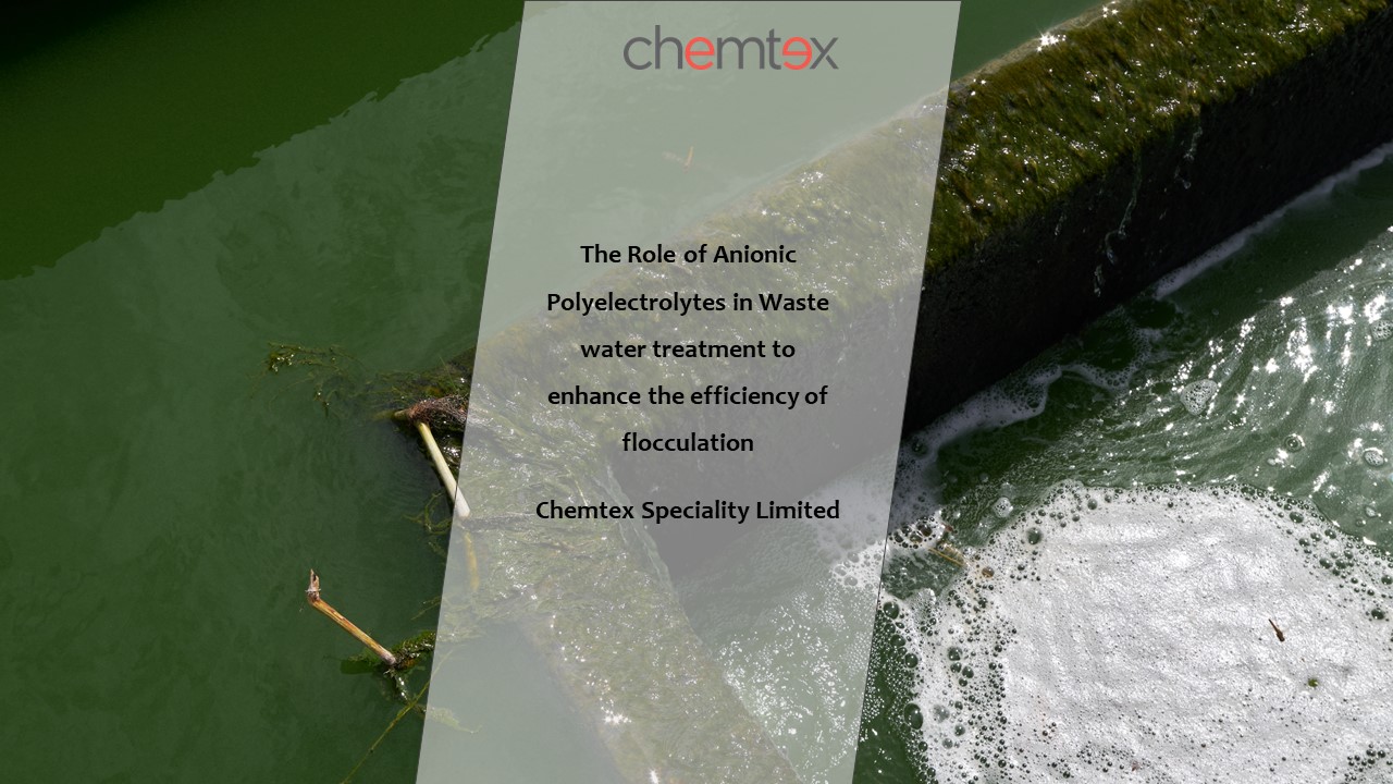 The Role of Anionic Polyelectrolytes in Wastewater Treatment