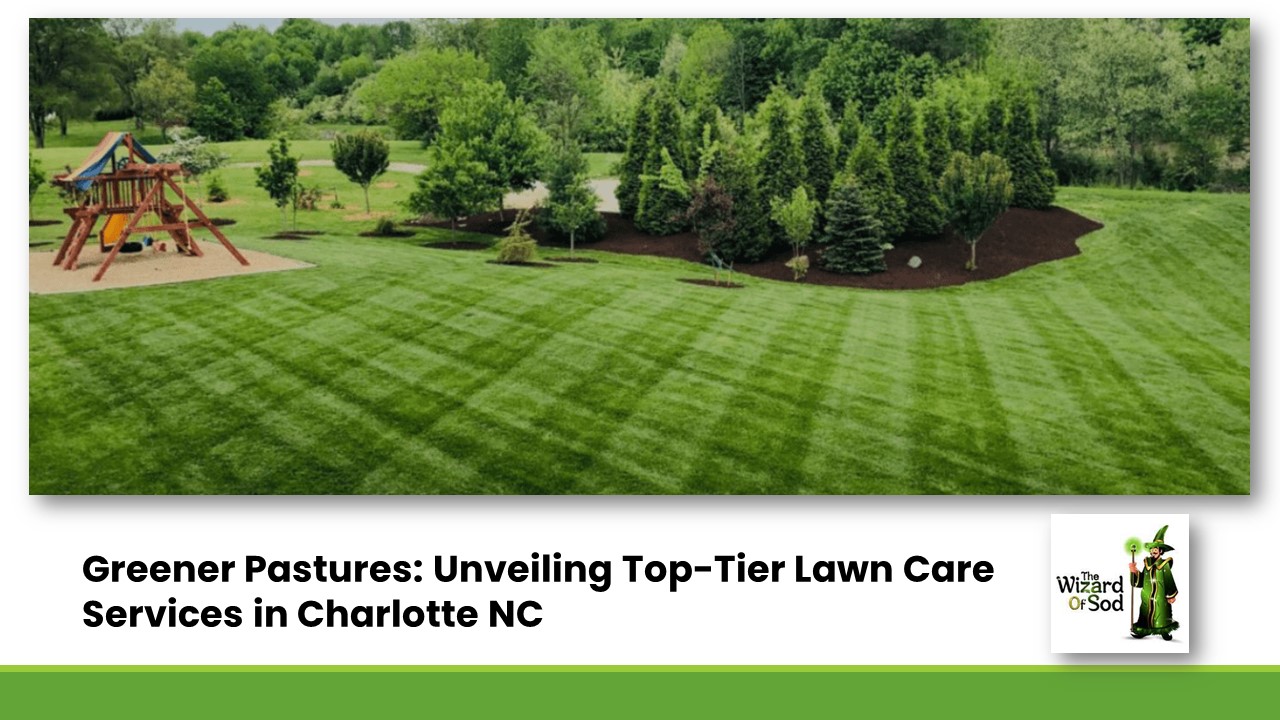 Greener Pastures: Unveiling Top-Tier Lawn Care Services in Charlotte NC