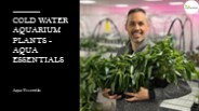 Cold Water Aquarium Plants - Aqua Essentials