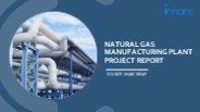 Setting Up a Successful Natural Gas Manufacturing Unit: DPR