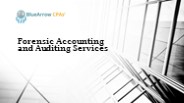 Forensic Accounting and Auditing Service