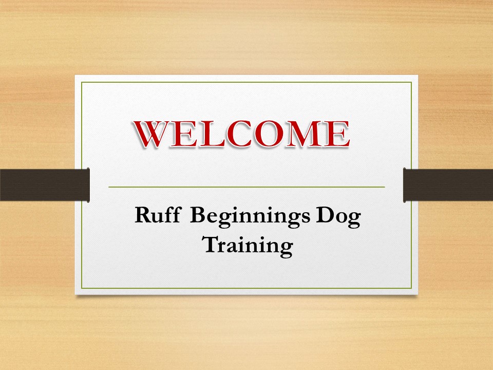 Obedience Training in Arden-Arcade