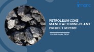 Setting Up a Successful Petroleum Coke Manufacturing Unit: DPR