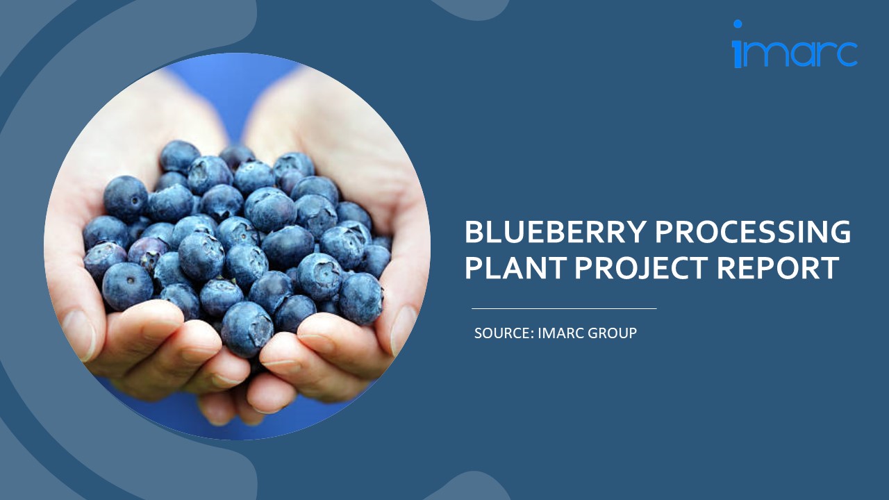 Setting Up a Successful Blueberry Processing Unit: DPR