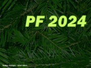 Vůně Vánoc - Olympic (PF 2024)
