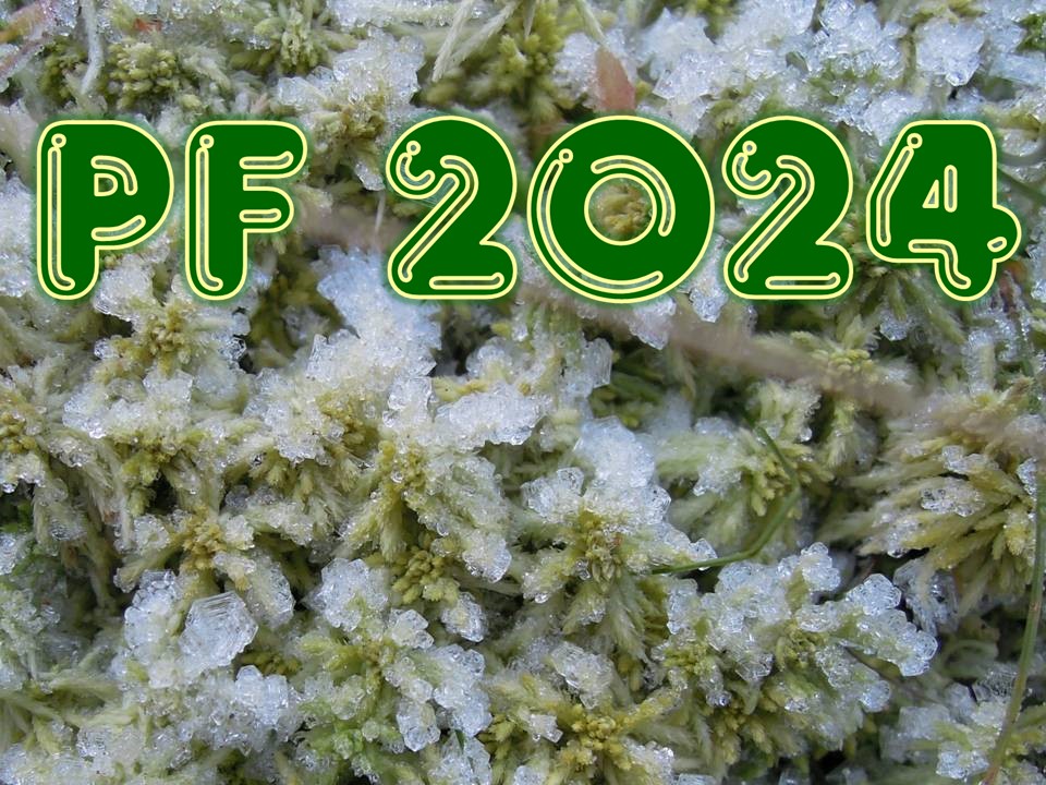 PF 2024 - Land of Frost