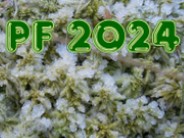 PF 2024 - Land of Frost