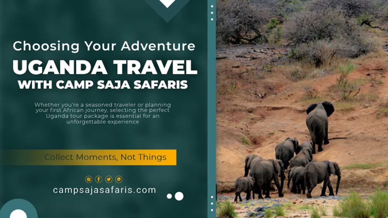 Camp Saja's Uganda Safaris: A Symphony of Nature and Culture