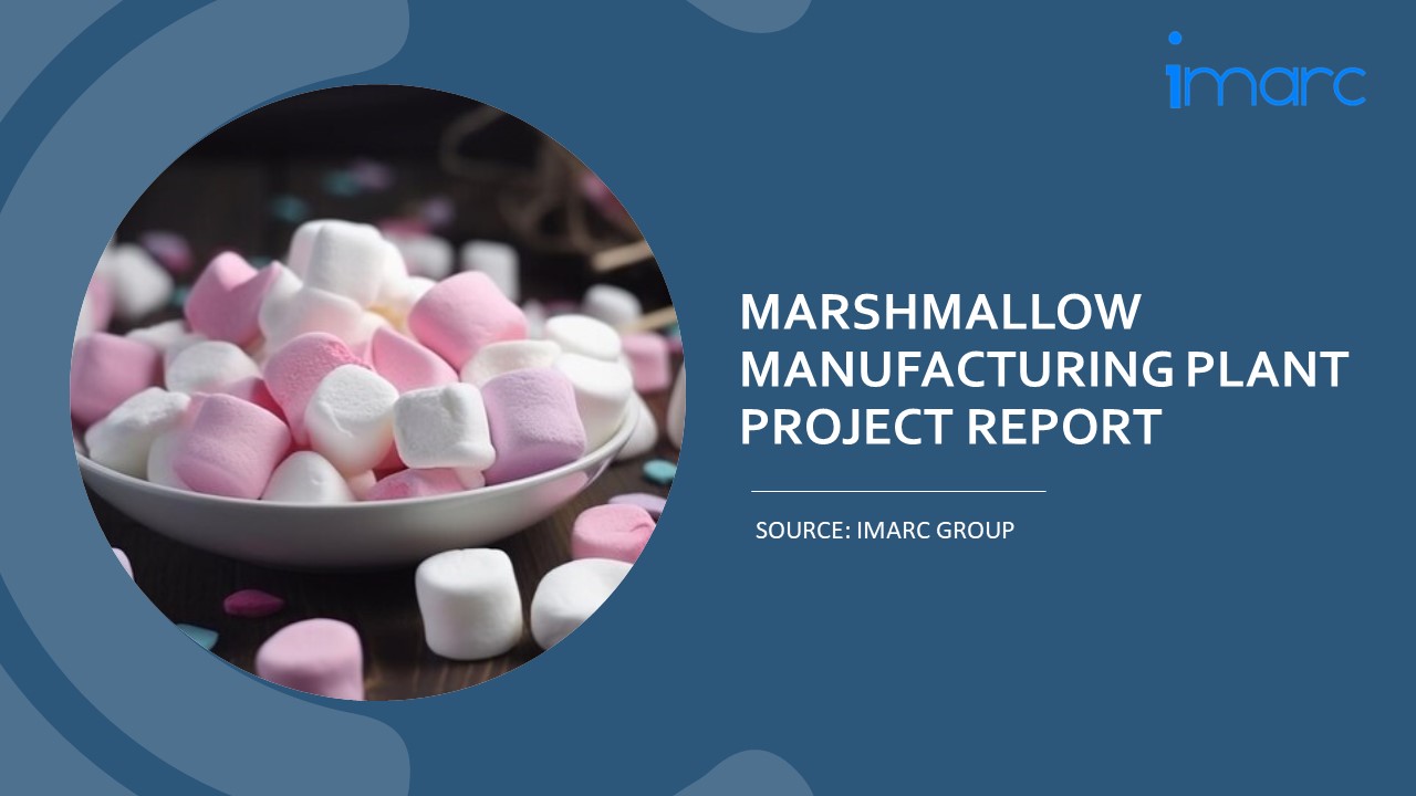 Setting Up a Successful Marshmallow Manufacturing Unit: DPR