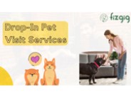 Convenient Drop-In Pet Visit for Your Furry Friends