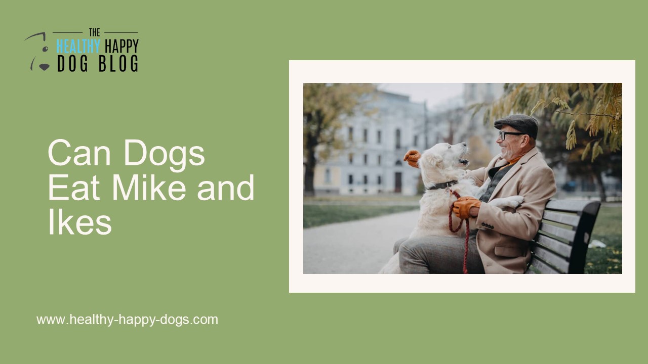 Can Dogs Eat Mike and Ikes - The Happy Healthy Dog Blog