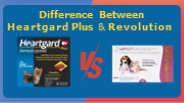 Difference Between Heartgard Plus & Revolution