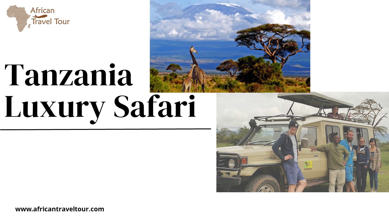 Tanzania Luxury Safari