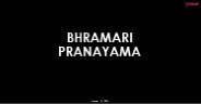 Bhramari Pranayama