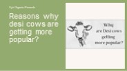 Reasons why desi cows are getting more popular?