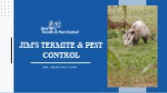 Possum Pest Removal Services _ Jim_s Pest Control Experts
