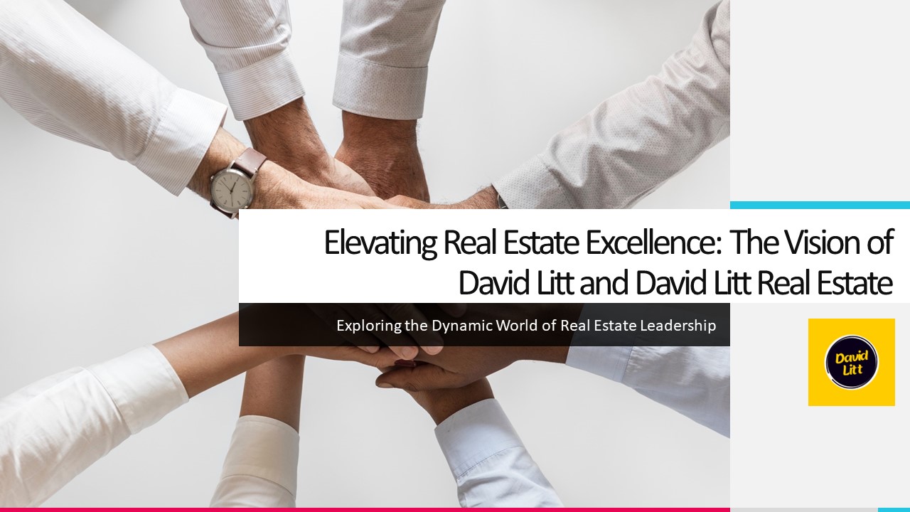 Beyond Boundaries: Redefining Real Estate with David Litt Real Estate