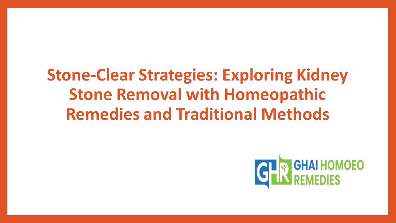 ExcelStone: An Integrative Solution for Natural Kidney Stone Removal