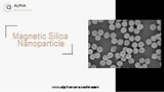 Magnetic Silica Nanoparticles