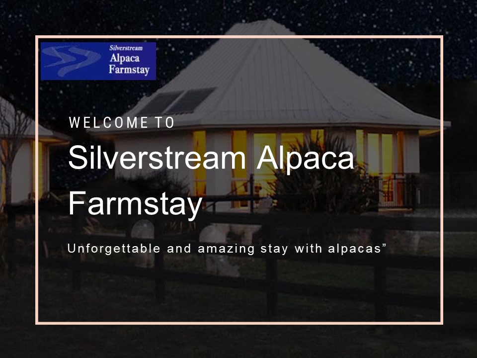 Silverstream Alpaca Farmstay