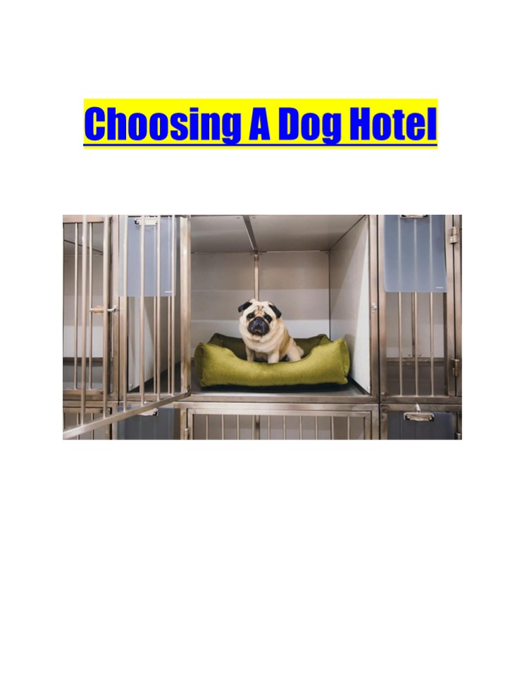 Choosing A Dog Hotel
