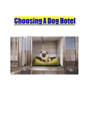 Choosing A Dog Hotel