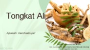 Manfaat Tongkat Ali