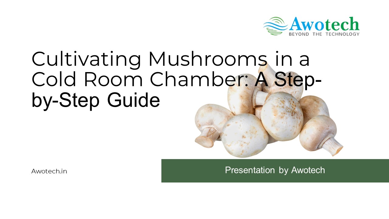 Mushroom Cultivation in Cold Room -Awotech