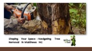Shaping Your Space : Navigating Tree Removal in Matthews NC