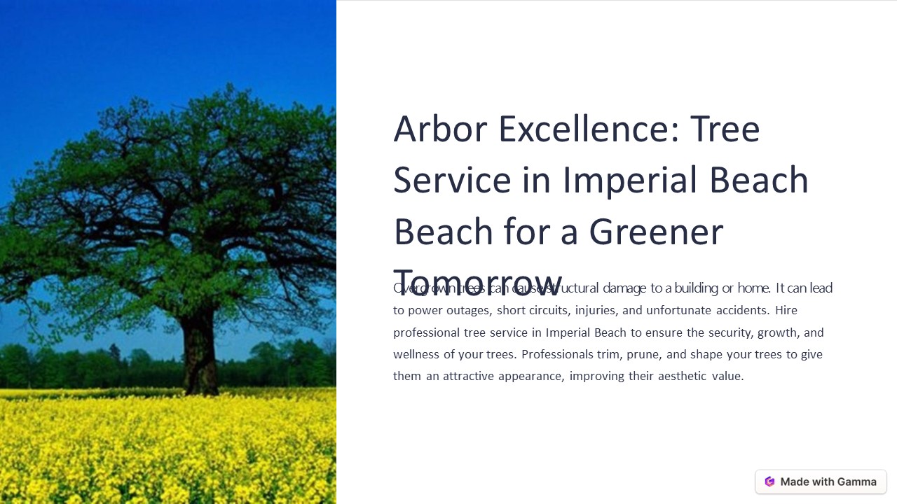 presentation player overlay