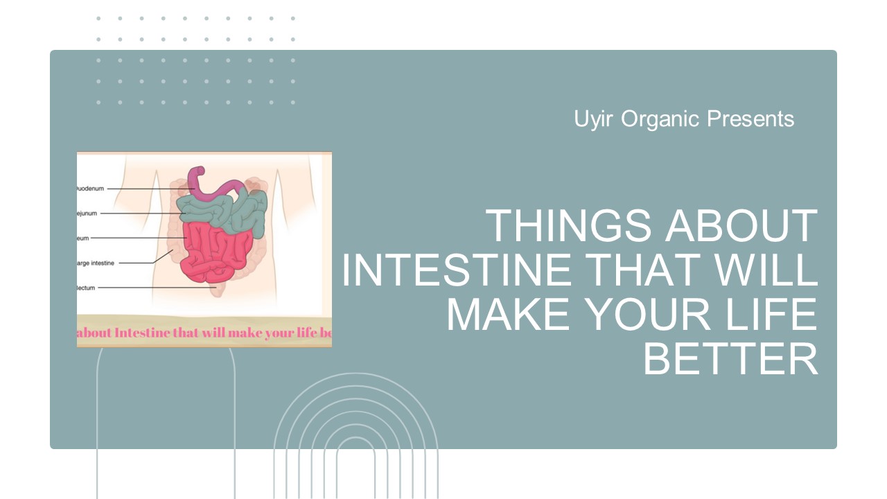 Things about Intestine that will make your life better