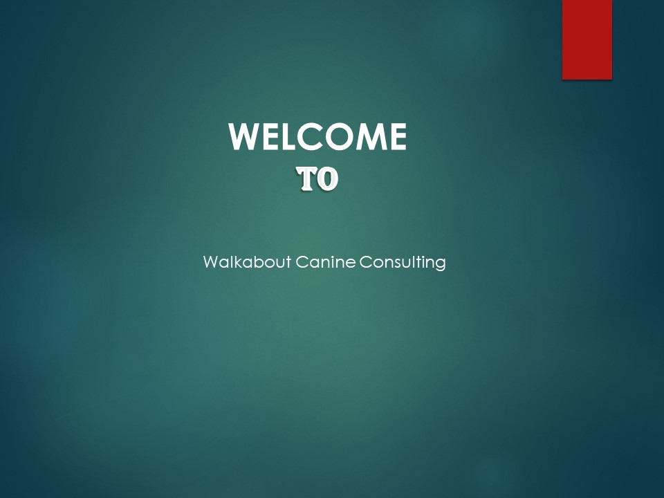 Get the best Puppy Training in New California