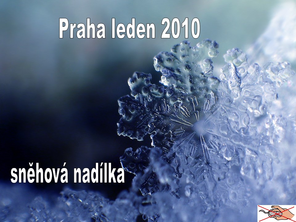 Praha v zime (Janina)